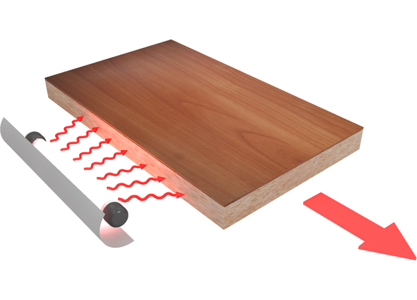 ������������ ����� ������� ���������