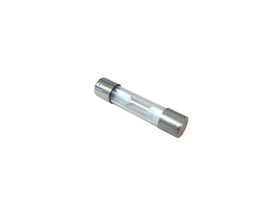  250V 10A/24V 6*30 mm (21810010)